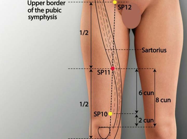 Sp11 acupuncture point location - Acupoints.org