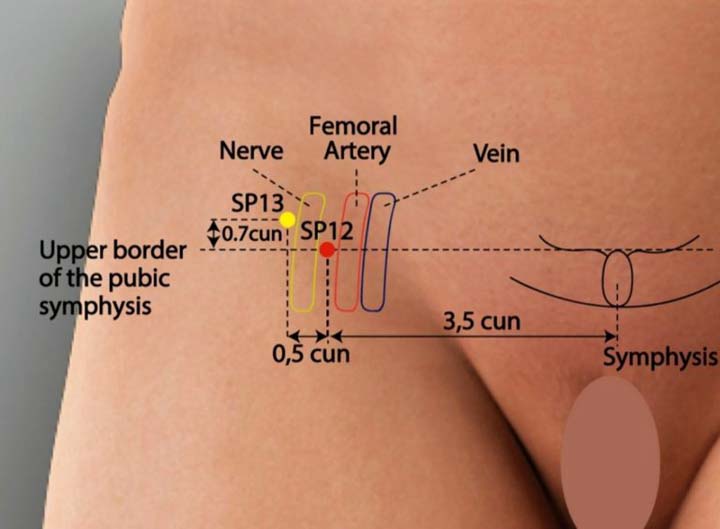 Sp12 acupuncture point location - Acupoints.org