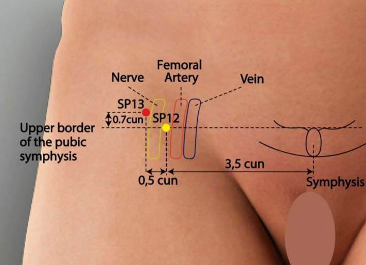 Sp13 acupuncture point location - Acupoints.org