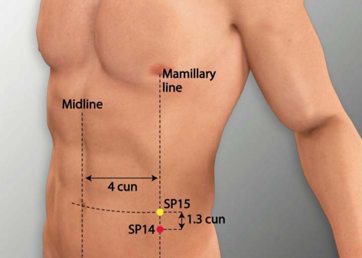 Sp14 acupuncture point location - Acupoints.org