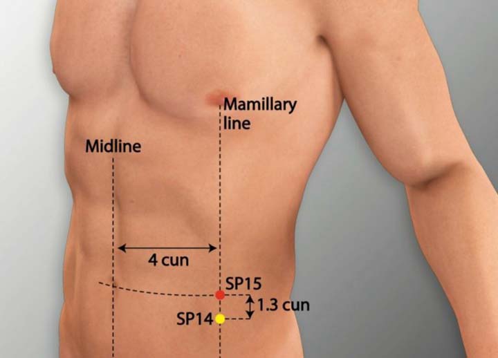 Sp15 acupuncture point location - Acupoints.org