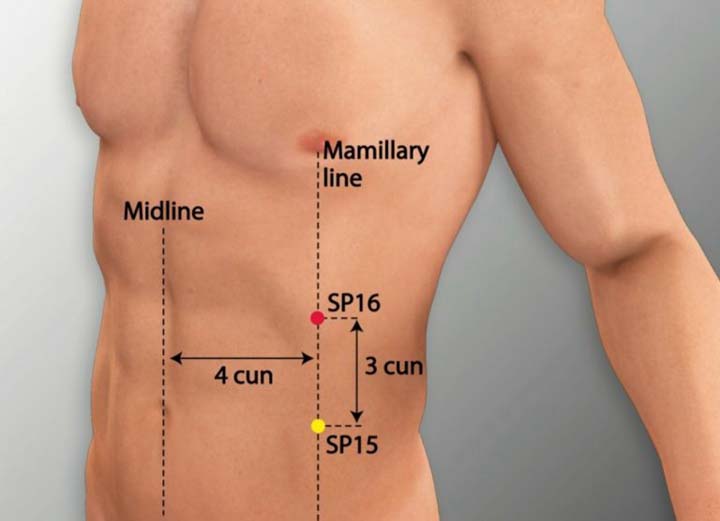 Sp16 acupuncture point location - Acupoints.org