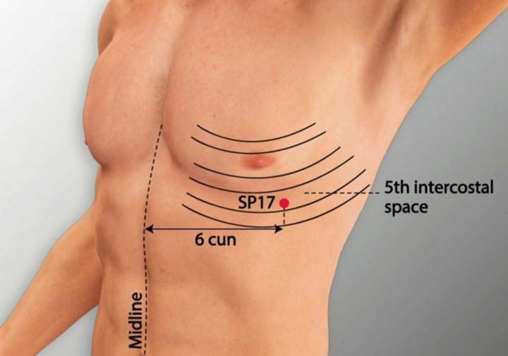 Sp17 acupuncture point location - Acupoints.org