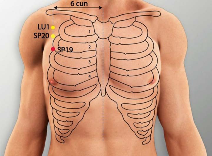 Sp19 acupuncture point location - Acupoints.org