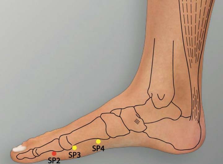 Sp2 acupuncture point location - Acupoints.org