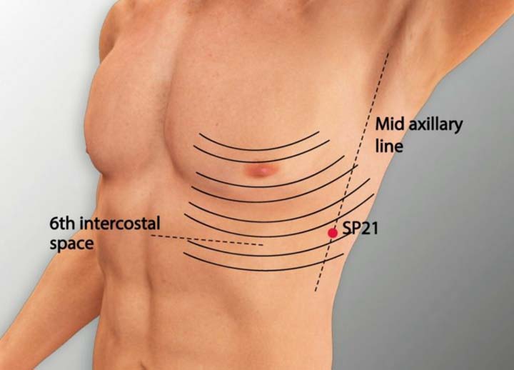 Sp21 acupuncture point location - Acupoints.org