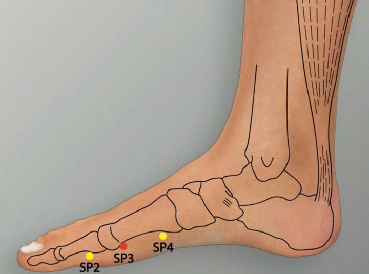 Sp3 acupuncture point location - Acupoints.org