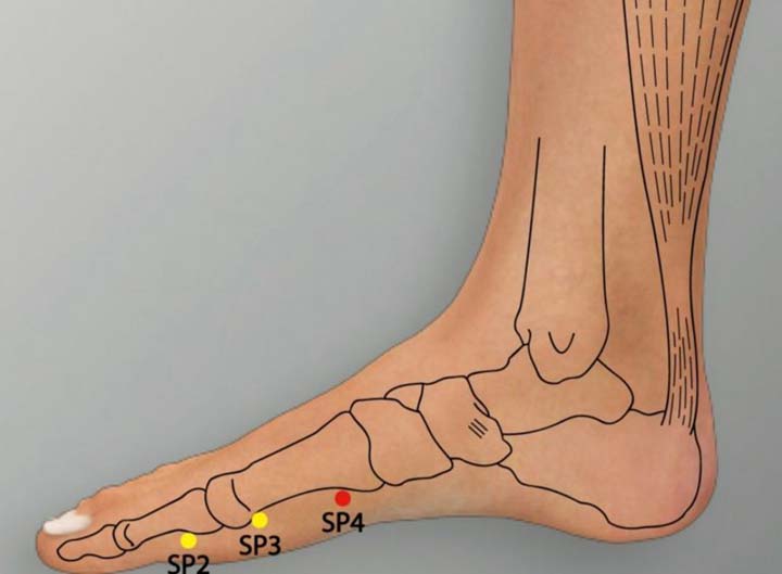 Sp4 acupuncture point location - Acupoints.org