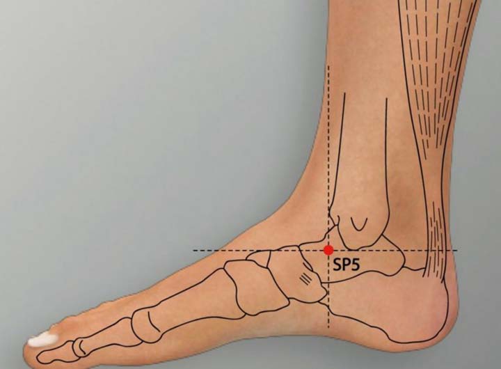 Sp5 acupuncture point location - Acupoints.org