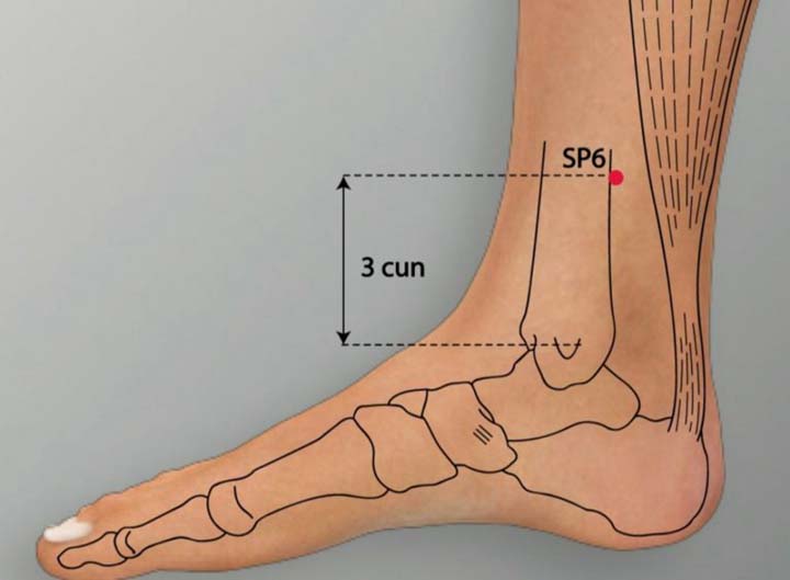 Sp6 acupuncture point location - Acupoints.org