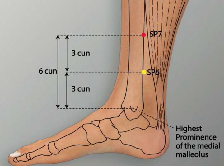 Sp7 acupuncture point location - Acupoints.org