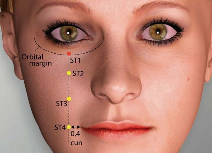 St1 acupuncture point location - Acupoints.org