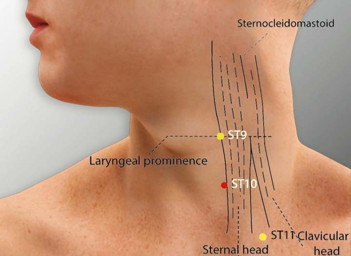 St10 acupuncture point location - Acupoints.org