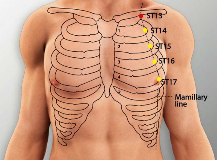 St13 acupuncture point location - Acupoints.org