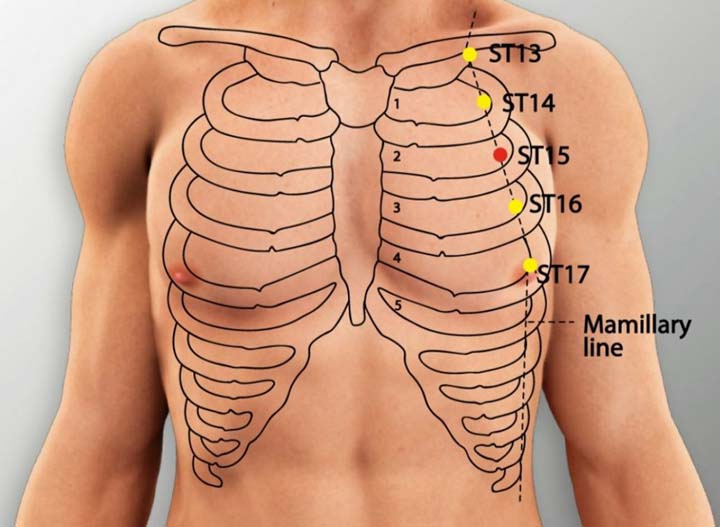 St15 acupuncture point location - Acupoints.org