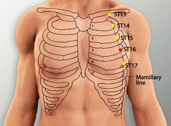 St16 acupuncture point location - Acupoints.org