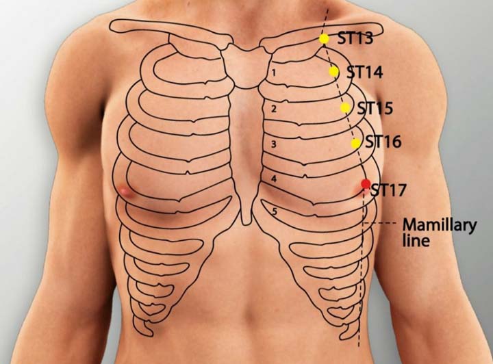 St17 acupuncture point location - Acupoints.org