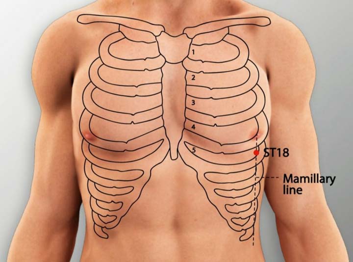 St18 acupuncture point location - Acupoints.org