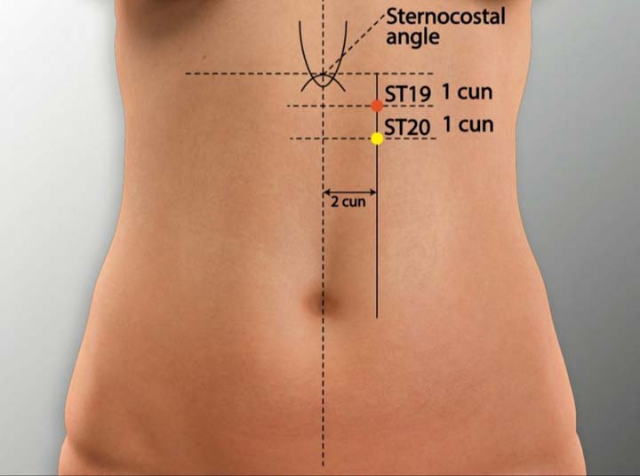 St19 acupuncture point location - Acupoints.org