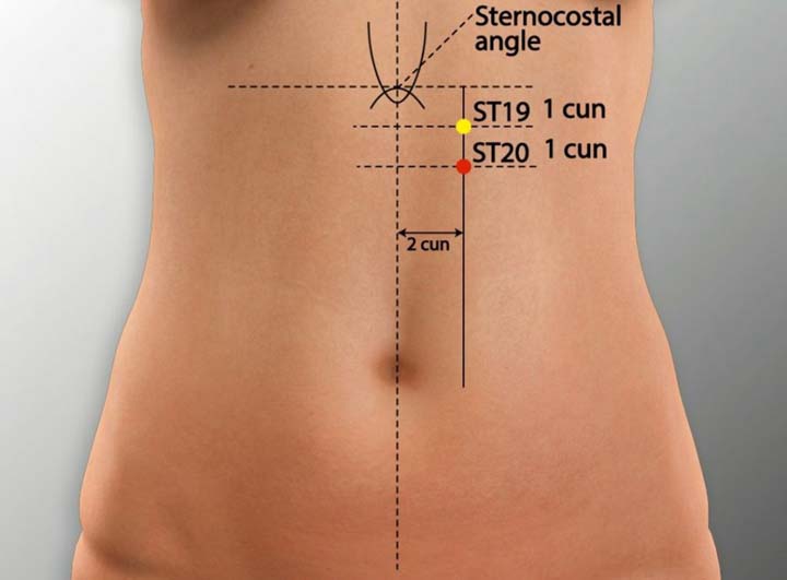 St20 acupuncture point location - Acupoints.org