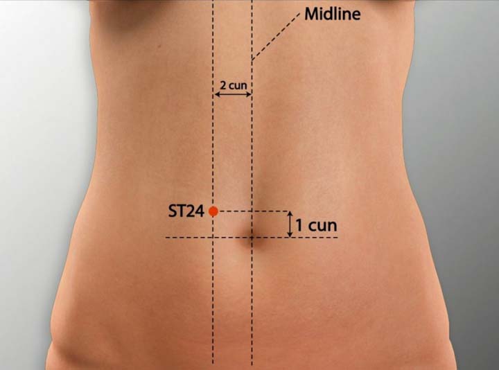 St24 acupuncture point location - Acupoints.org