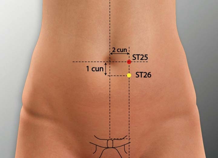 St25 acupuncture point location - Acupoints.org