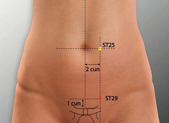 St29 acupuncture point location - Acupoints.org