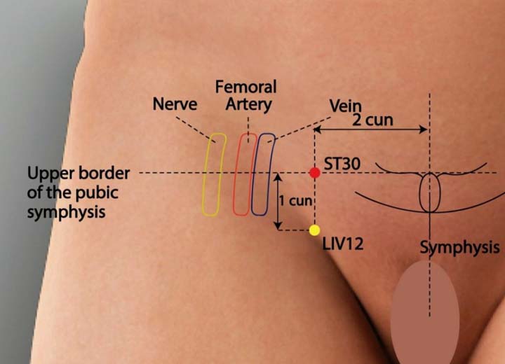 St30 acupuncture point location - Acupoints.org