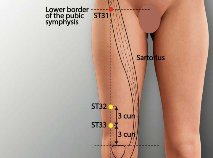 St31 acupuncture point location - Acupoints.org