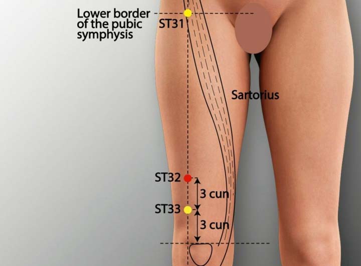 St32 acupuncture point location - Acupoints.org