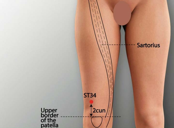 St34 acupuncture point location - Acupoints.org