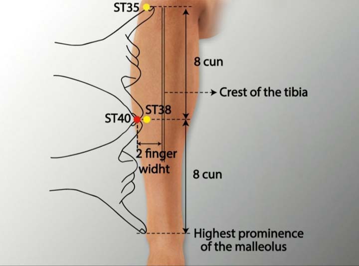 St40 acupuncture point location - Acupoints.org