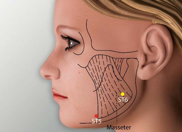 St5 acupuncture point location - Acupoints.org