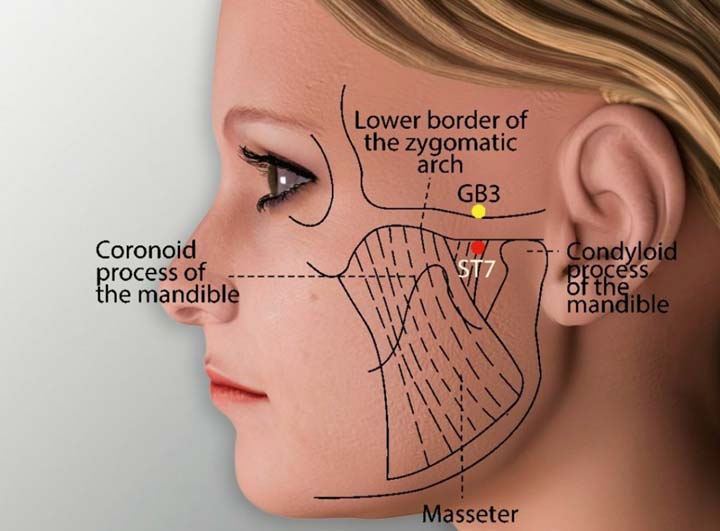 St7 acupuncture point location - Acupoints.org