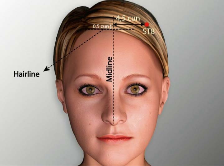 St8 acupuncture point location - Acupoints.org