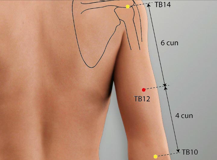 TE12 acupuncture point location - Acupoints.org