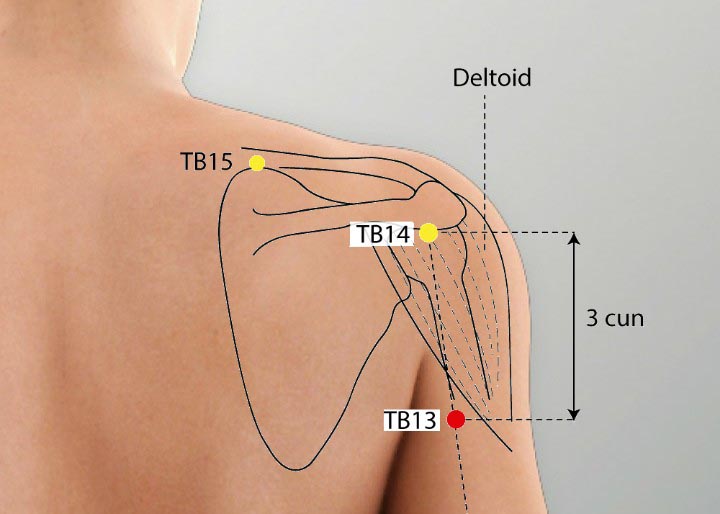 TE13 acupuncture point location - Acupoints.org