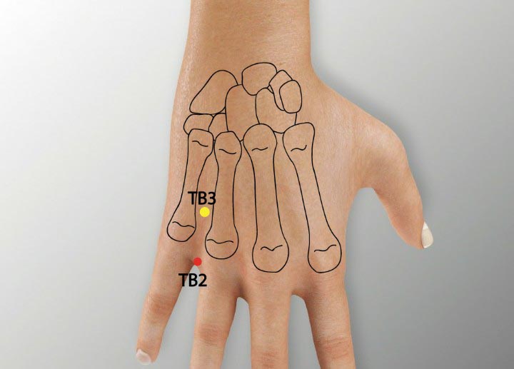 TE2 acupuncture point location - Acupoints.org