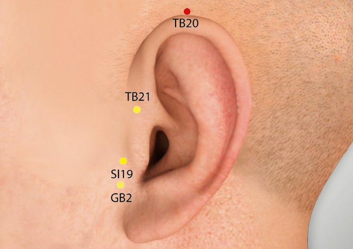 TE20 acupuncture point location - Acupoints.org