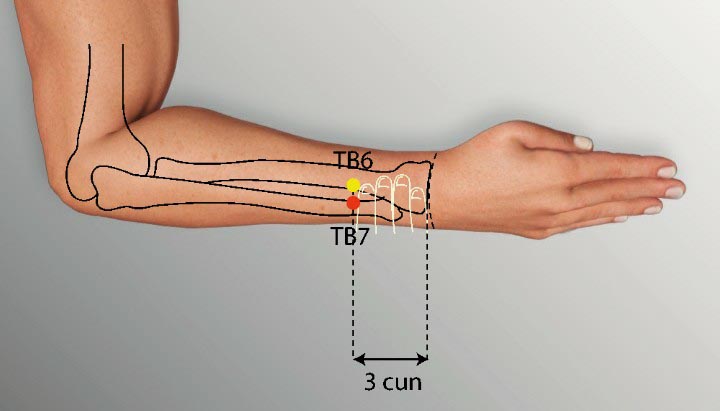 TE7 acupuncture point location - Acupoints.org