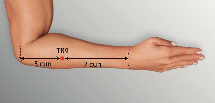 TE9 acupuncture point location - Acupoints.org