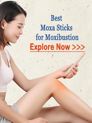 Best Moxa Sticks